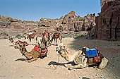 Petra - the Street of Facades 